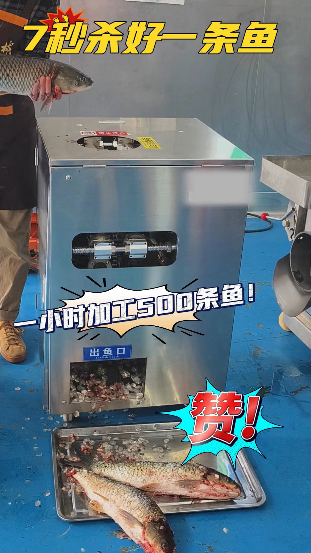 杀鱼开背去鳞一体机,可加工2-8斤多种鱼类代替手工杀鱼的神器