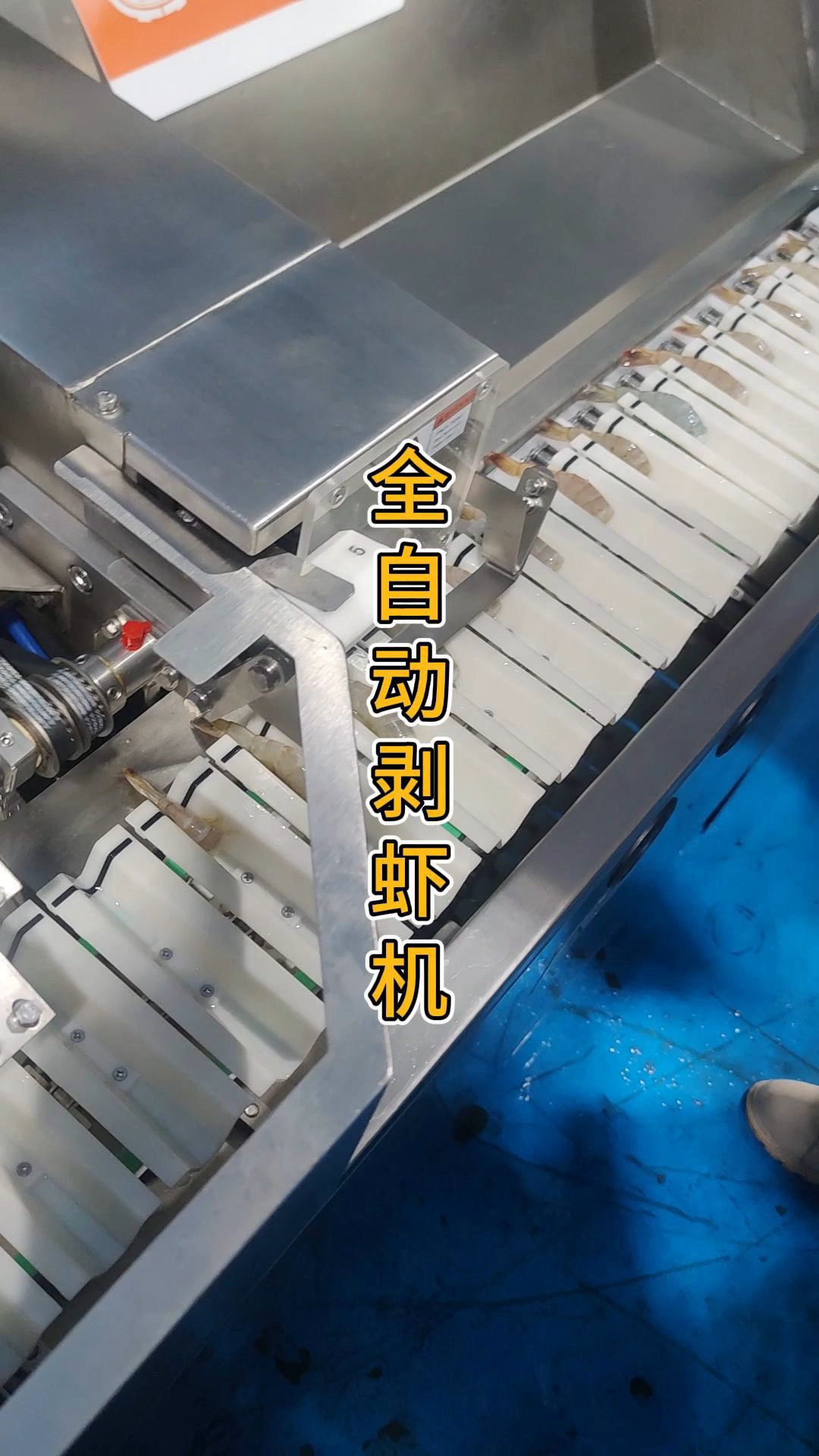 全自动剥虾机,开背去壳剥虾线,每分钟可加工70只