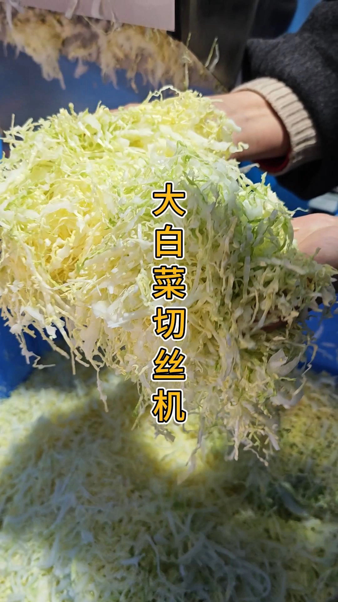 包菜白菜切丝机,切割长度1-60mm可调,双变频调速一机多能