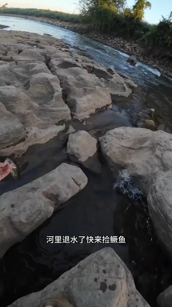 退水了有鳜鱼捡#路亚鳜鱼 #路亚野钓
