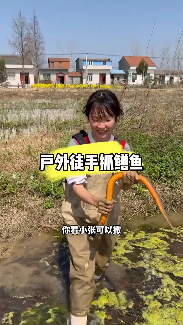 户外徒手抓鳝鱼回忆童年农村生活 #黄杠杠的 #大鳝鱼三农