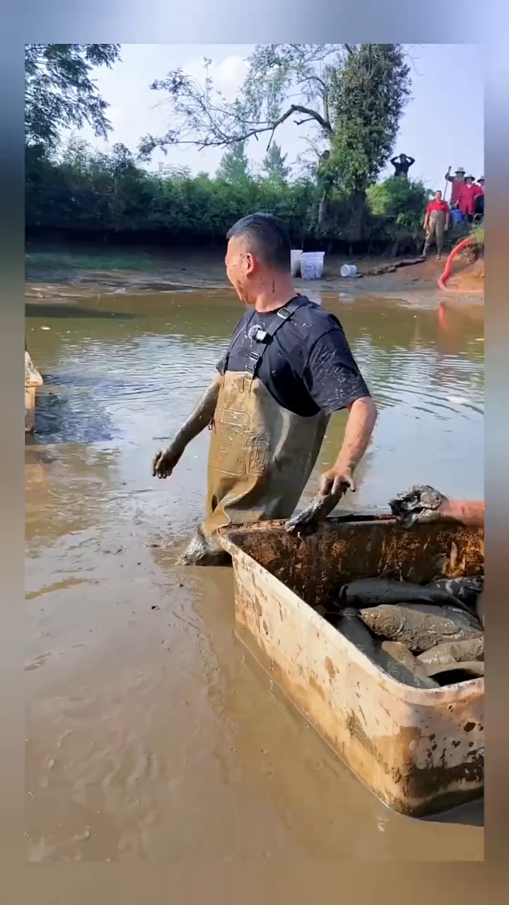 #快成长计划 #潮流生活成长之星 户外徒手抓鱼， 助农帮帮团