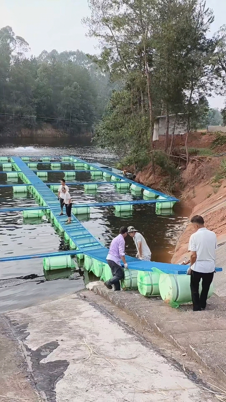 高密度网箱养鱼,渔排安装现场