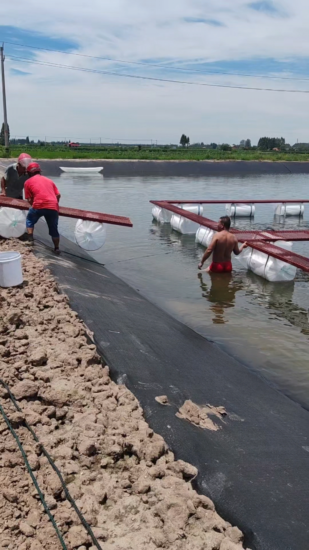 鱼塘网箱养鱼,饲料桂花鱼驯化