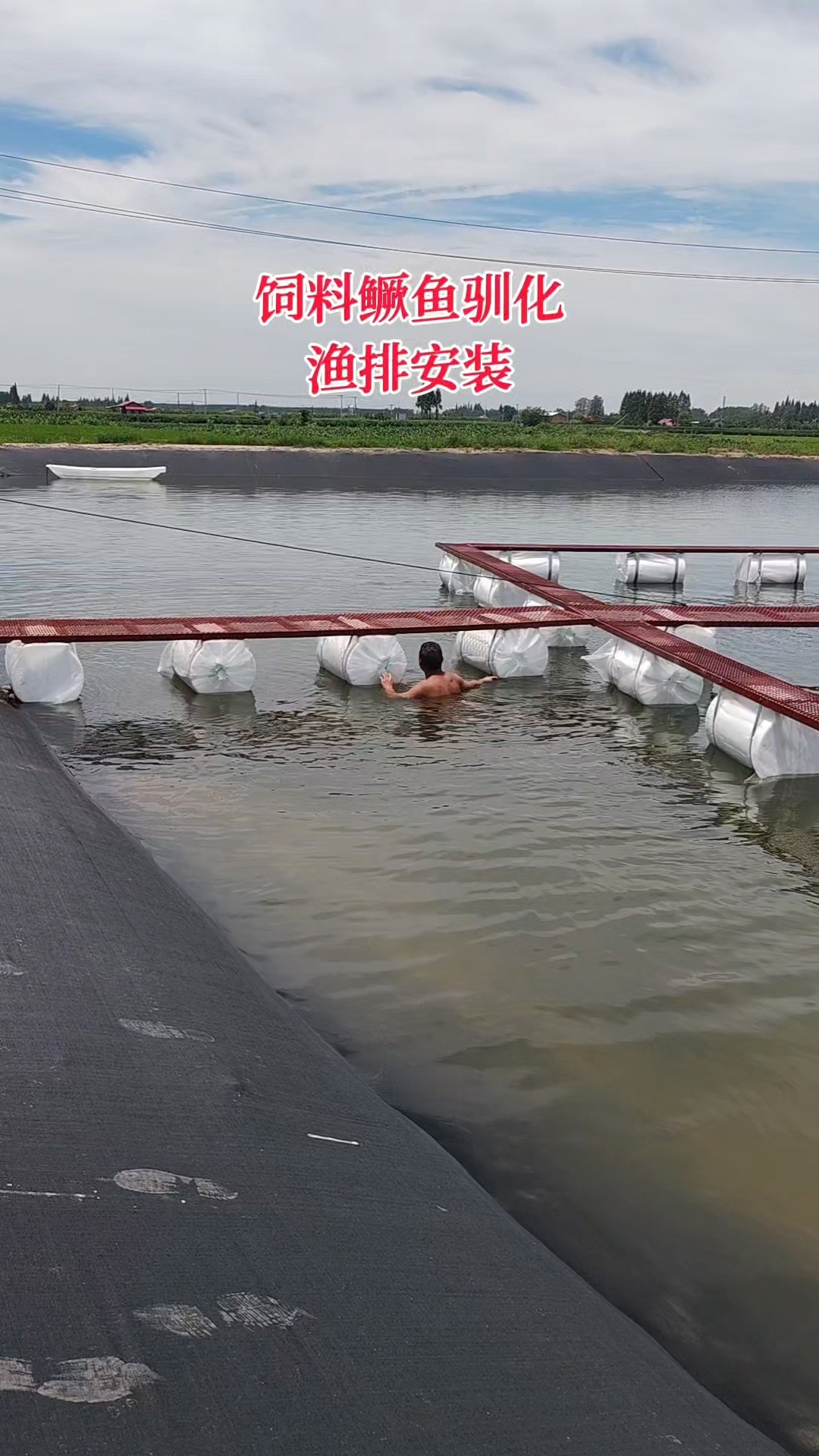 高密度水产养殖,饲料桂花鱼驯化网箱