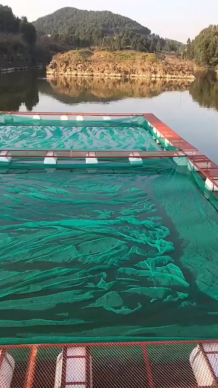 高密度水产养殖,网箱养鱼