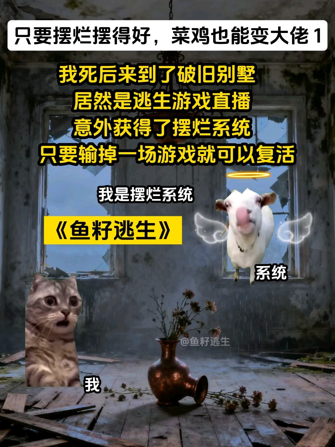 只要摆烂摆得好,菜鸡也能变大佬1猫meme～猫meme