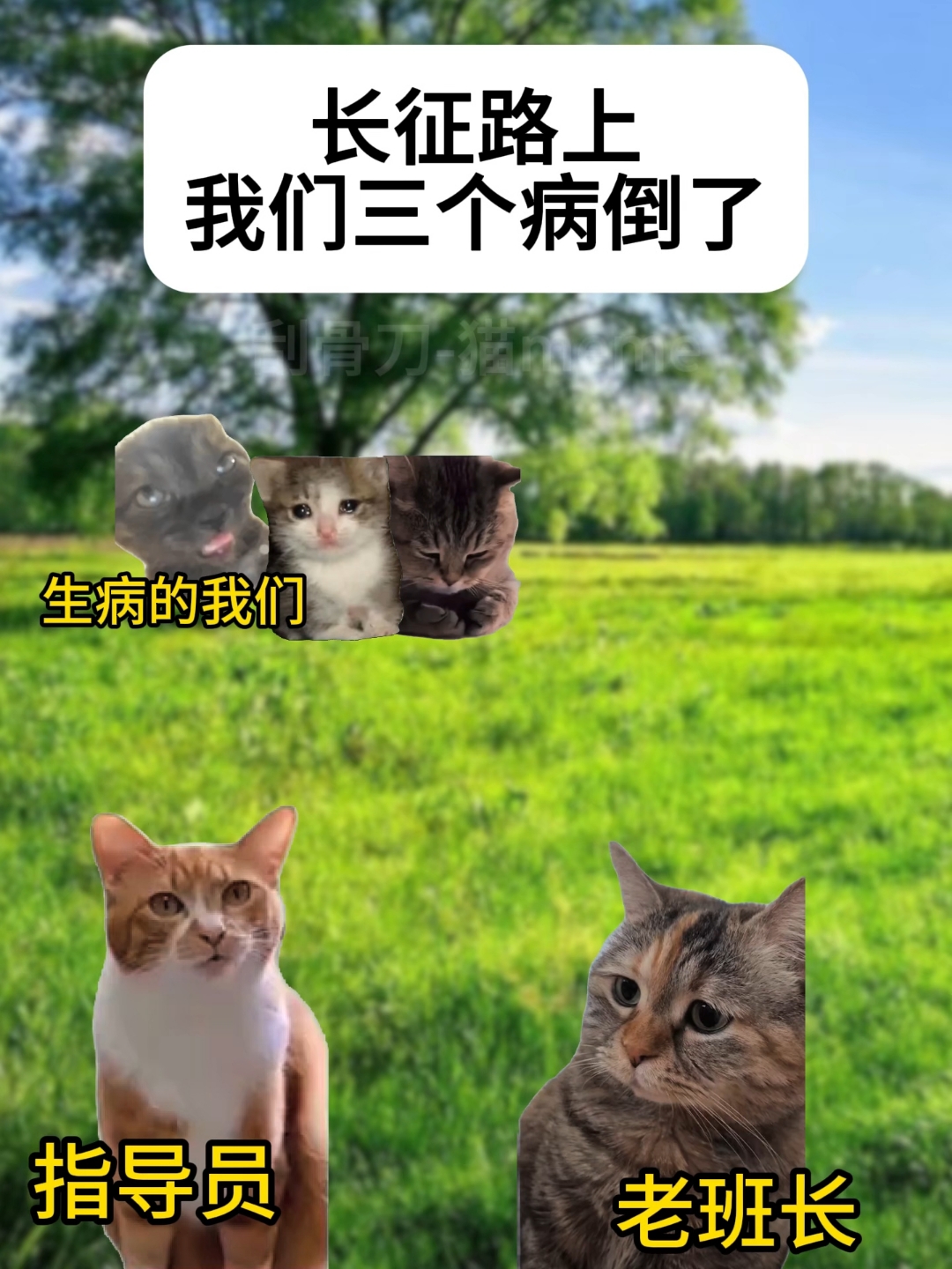 老班长把我们变成了金色鱼钩。