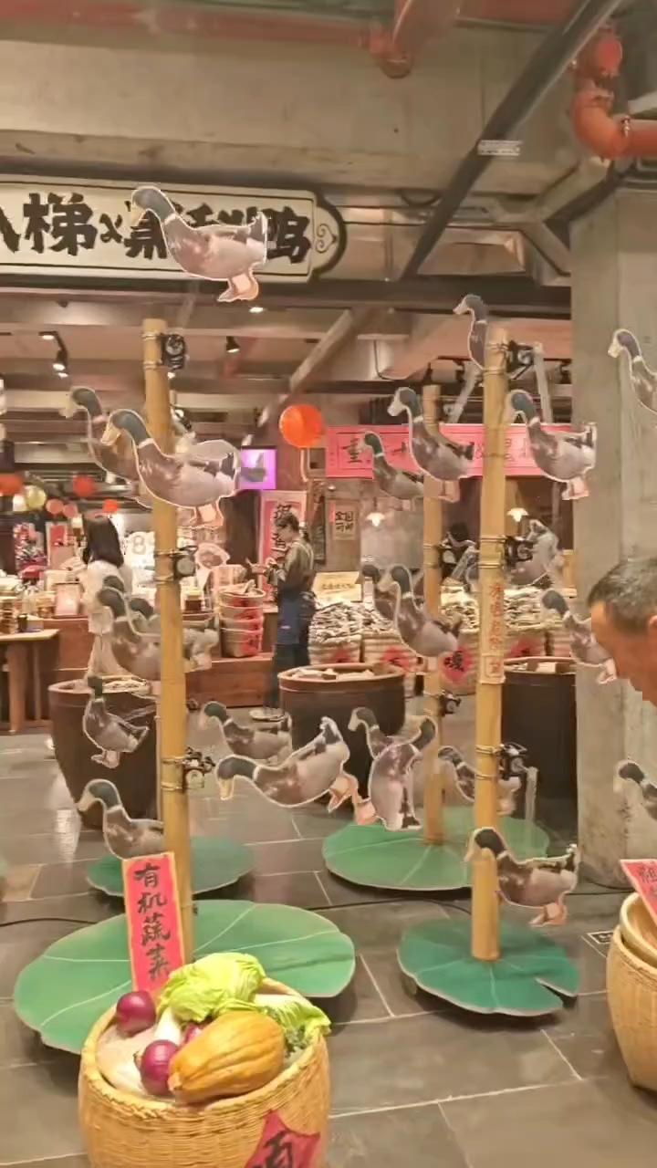 会奔跑的鸭子