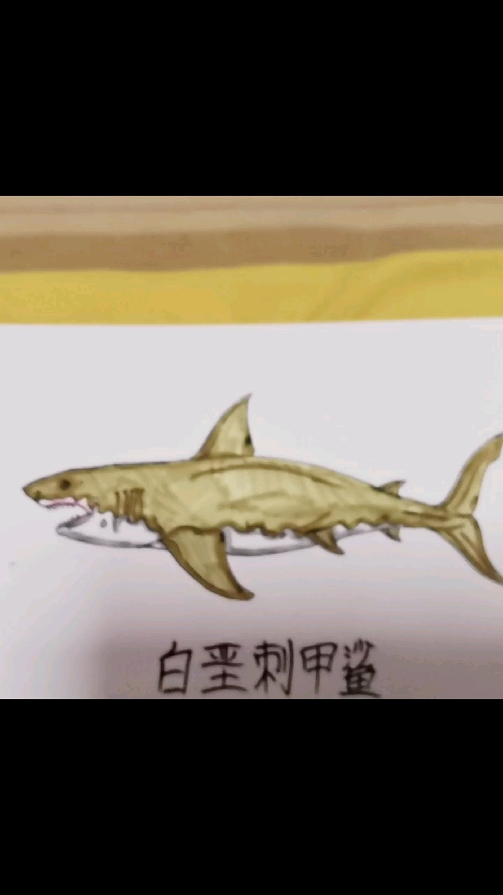 史前生物绘画(白垩刺甲鲨)