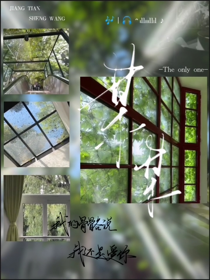 江添x盛望