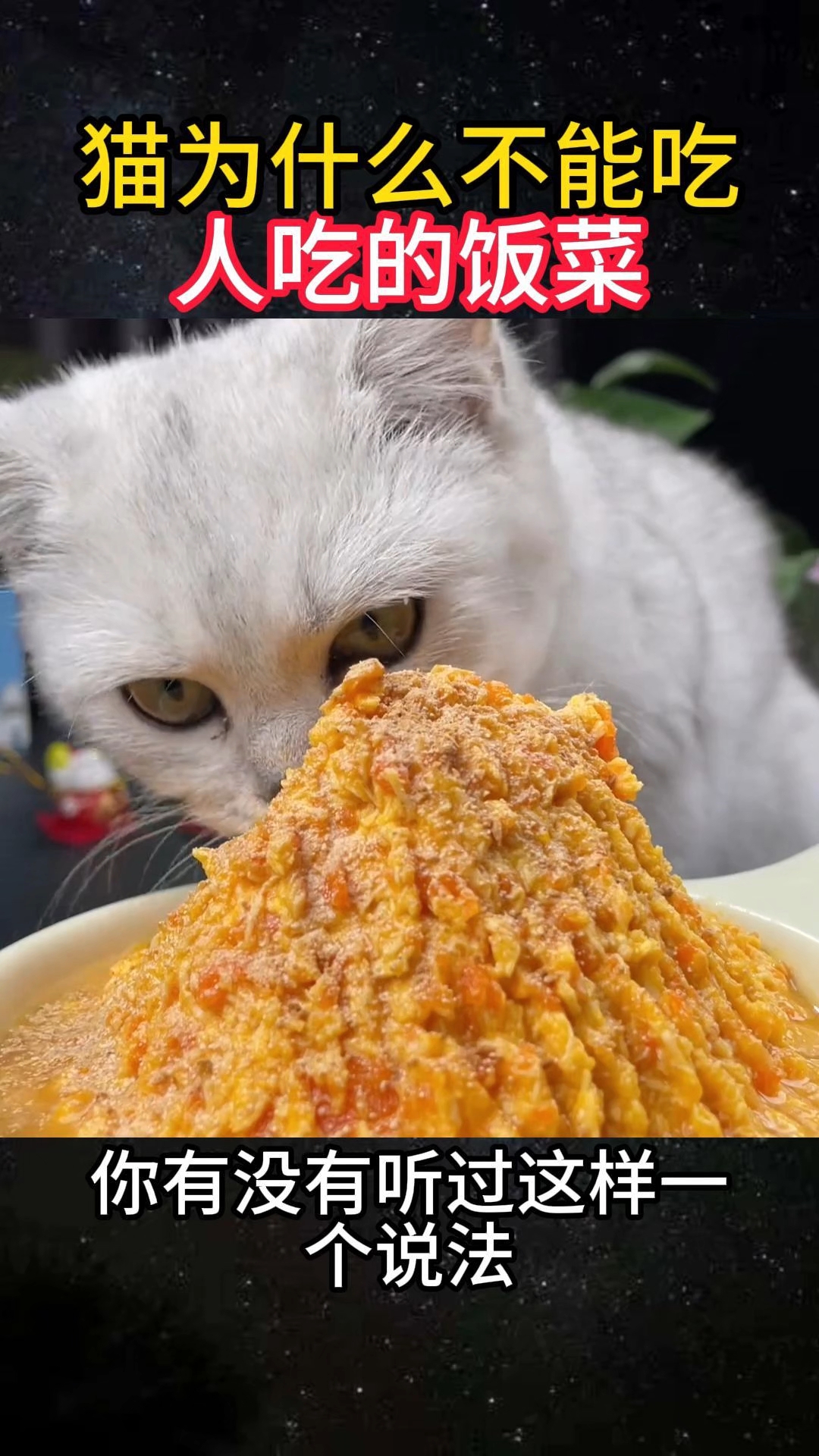 猫为什么不能吃人吃的饭菜