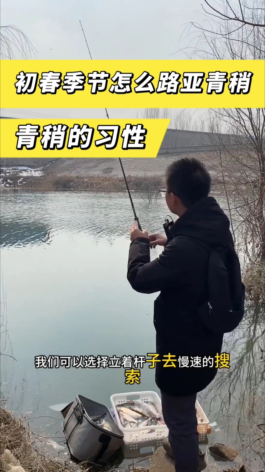 初春季节怎么路亚青稍,青稍的习性