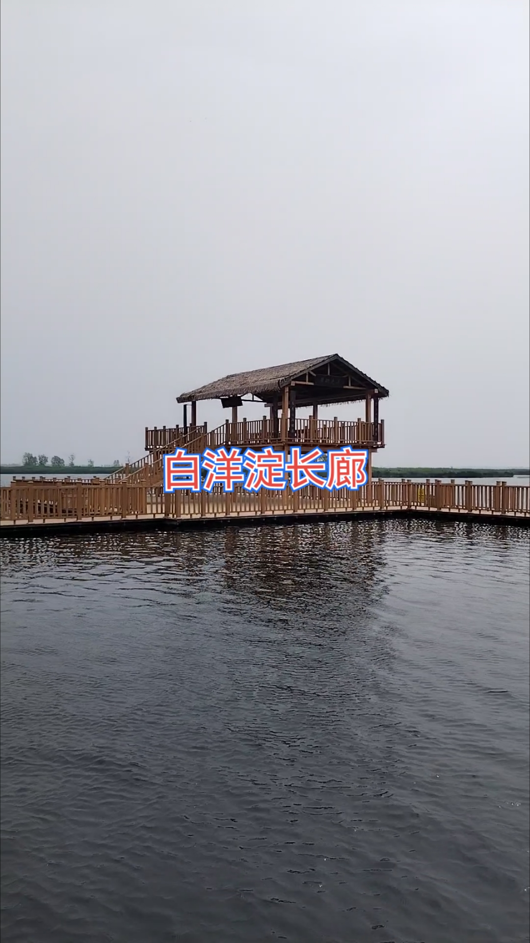 华北明珠,白洋淀长廊,穿梭在芦苇荡中,听水鸟鸣唱,宛如天堂