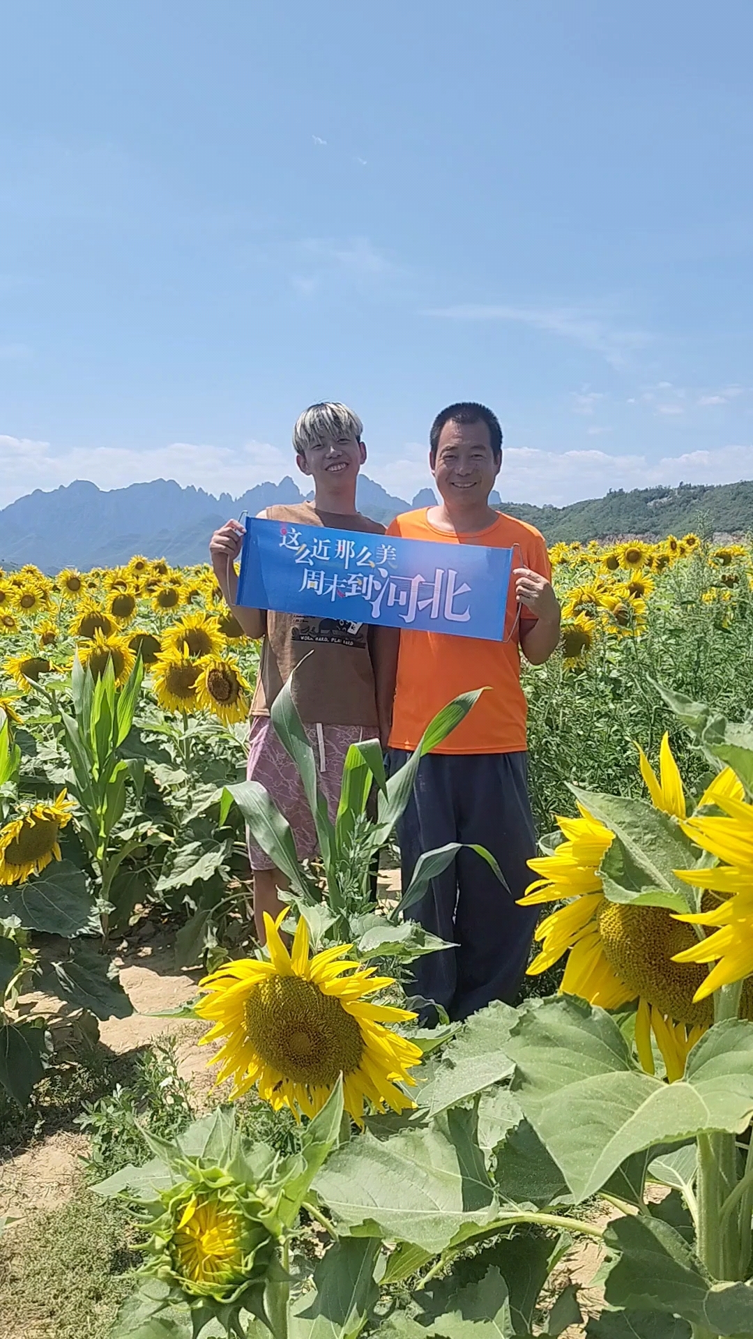 这么近那么美,周末到河北,保定龙门水库欢迎您,打卡向日葵花海