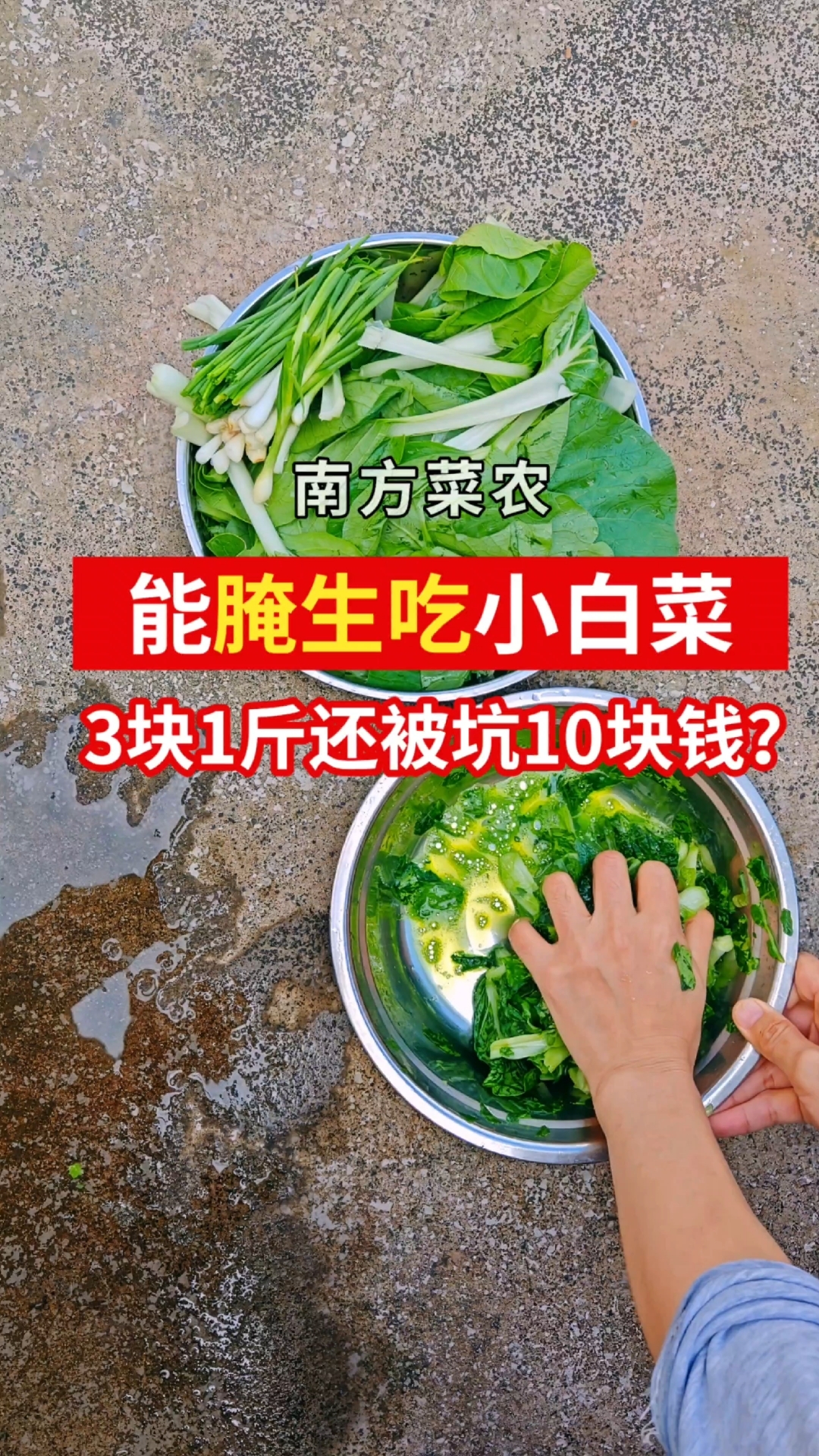 能腌生吃的小白菜,3元一斤看看能卖多少钱?