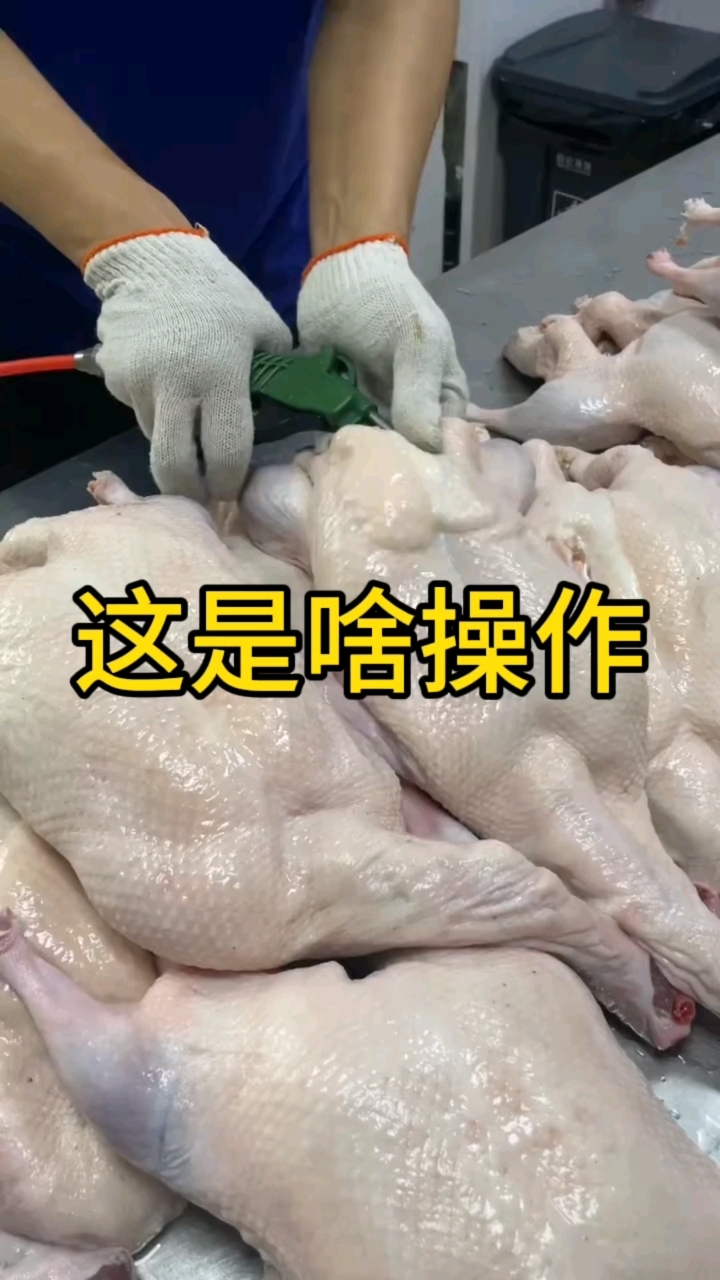给鸭子打气有什么作用呢?