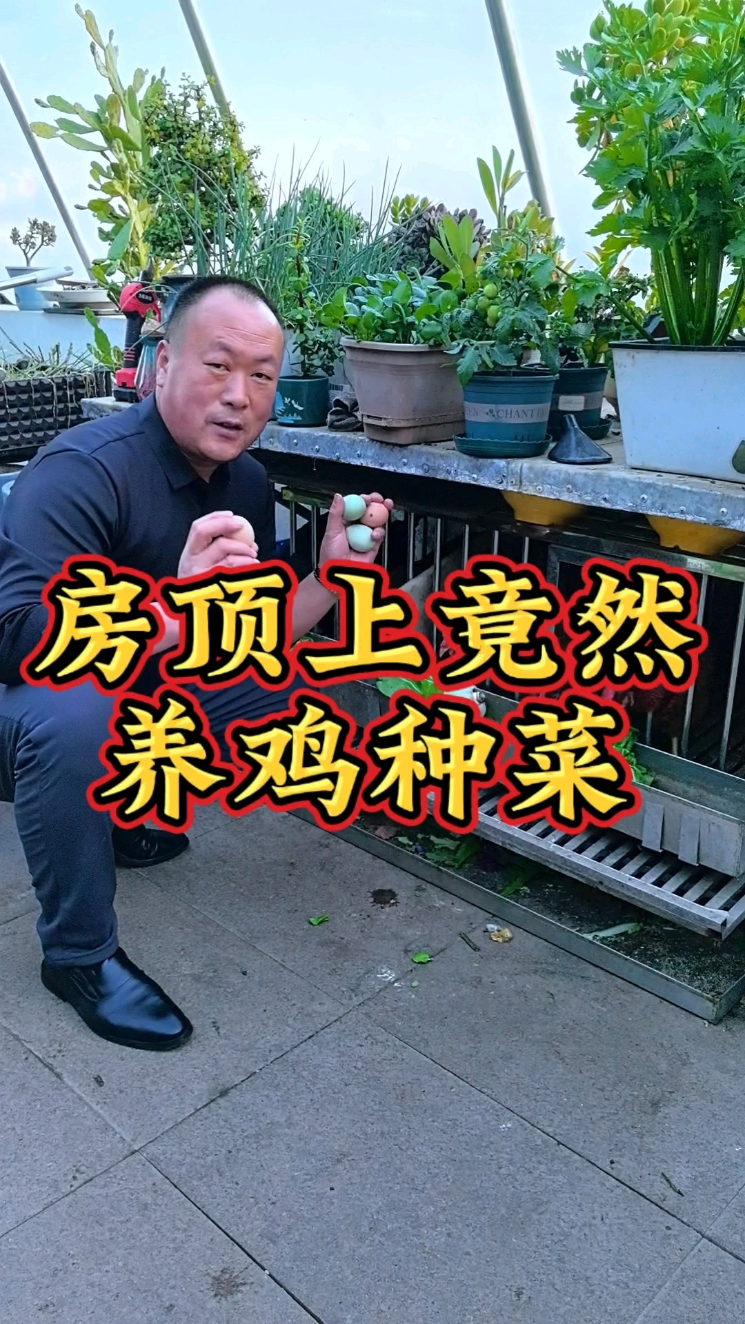 房顶上居然养鸡种菜,浇水系统还设计这么牛!