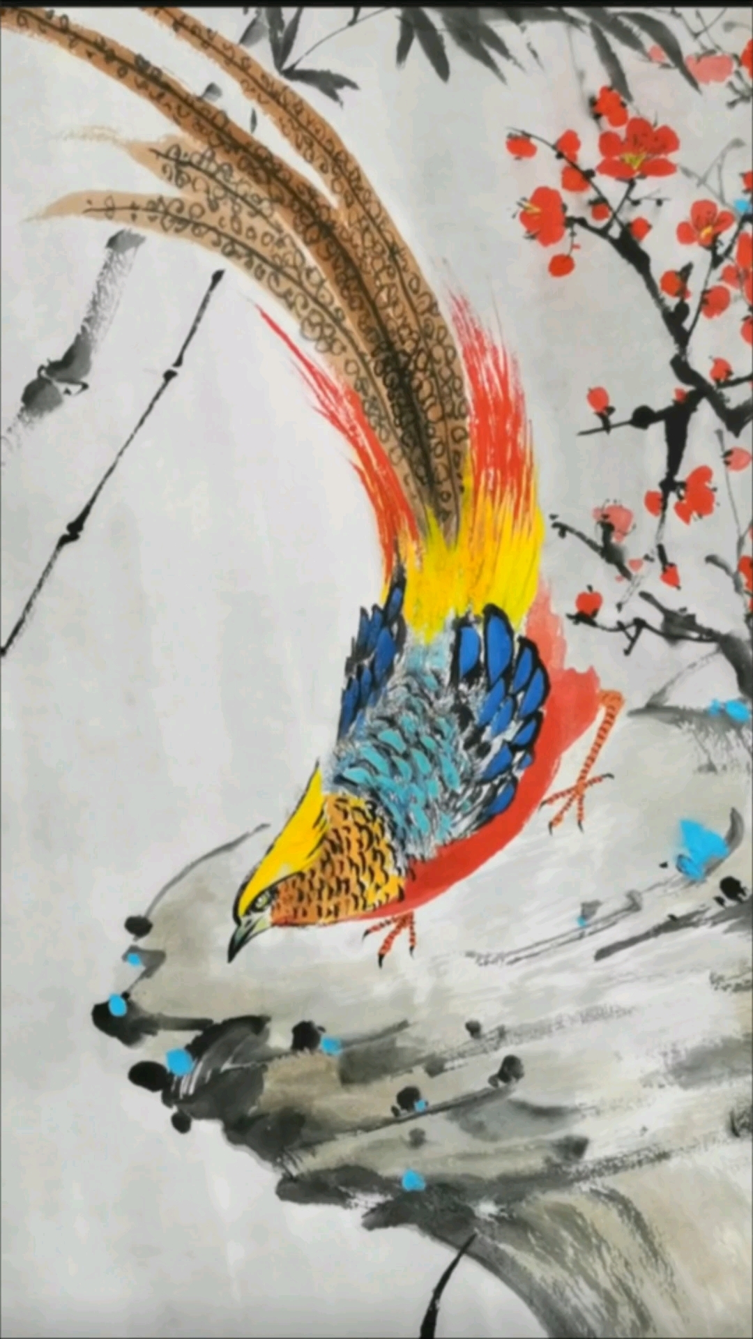 红腹锦鸡的画法。每日分享绘画过程,和你一起学习一起成长成长!