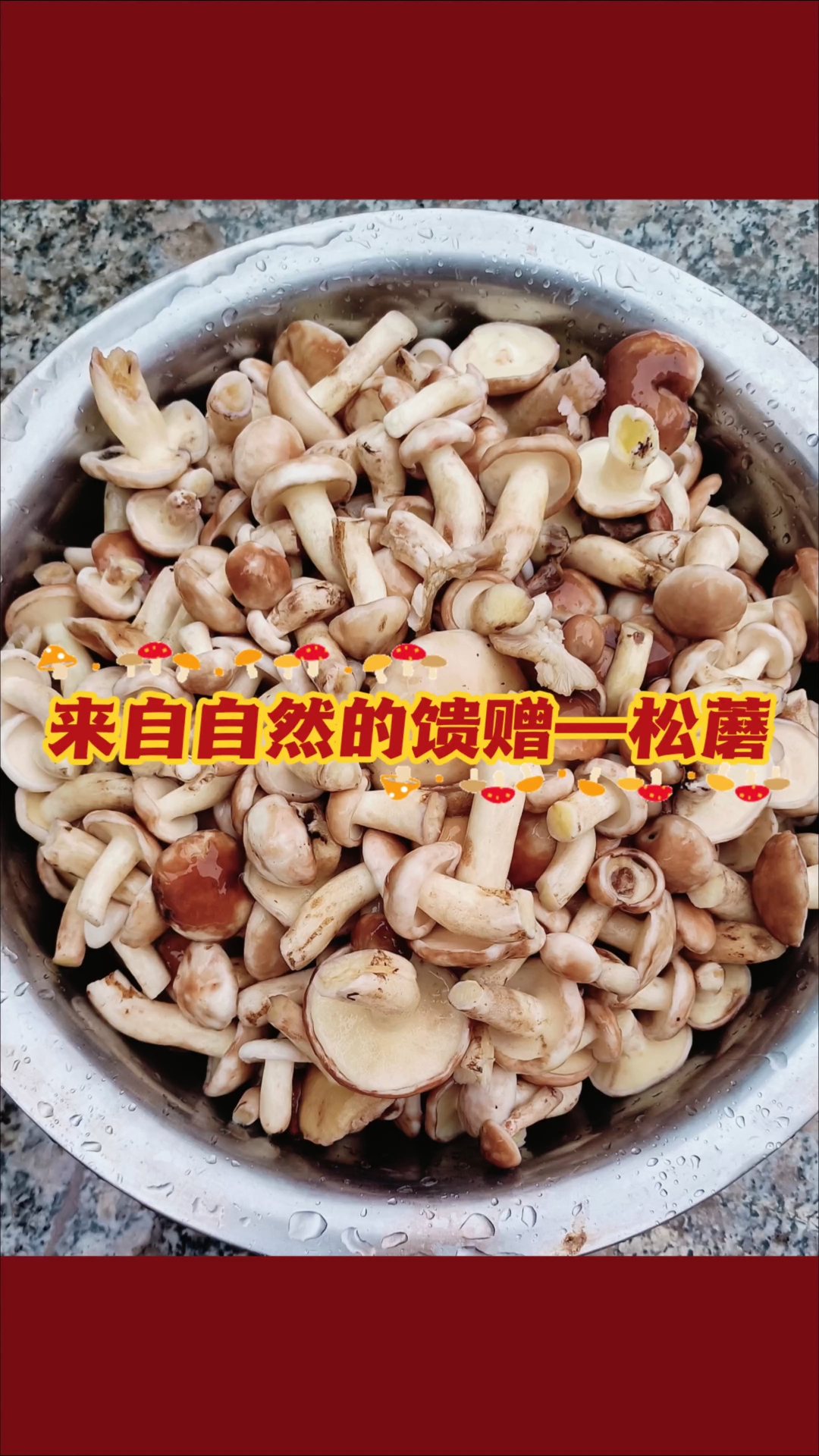 超级好吃的爆炒松蘑