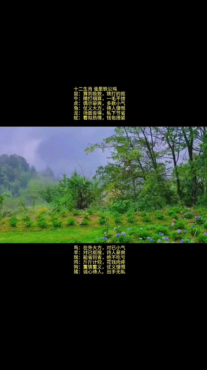 十二生肖 谁是铁公鸡