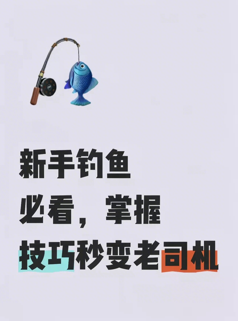 新手钓鱼指南,秒变钓鱼高手!