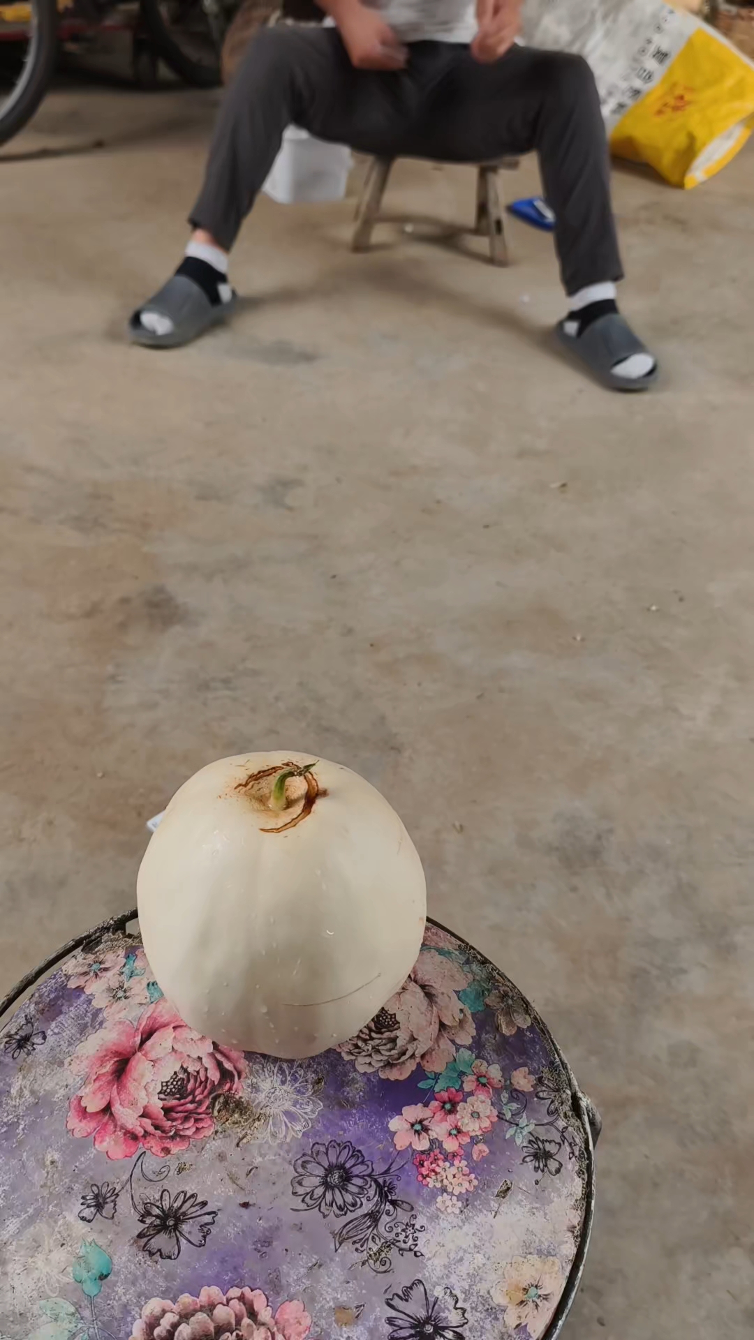 扎小白瓜