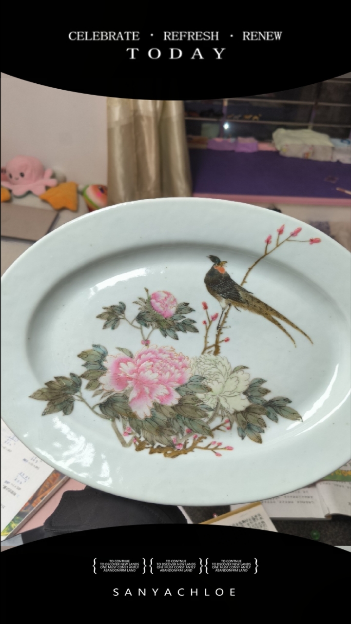 民国新粉彩花鸟鱼盘