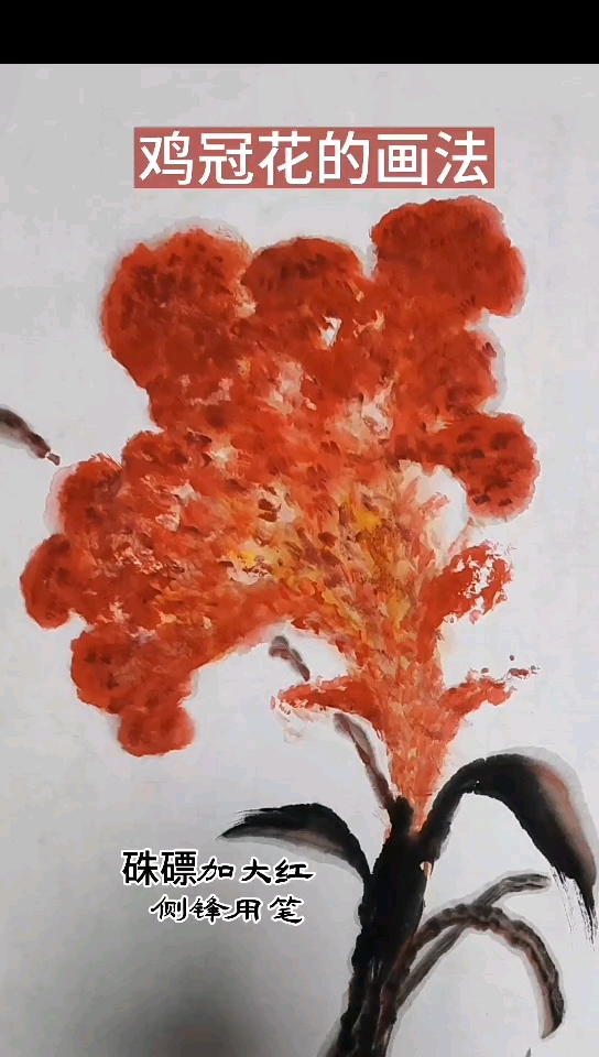 鸡冠花的画法