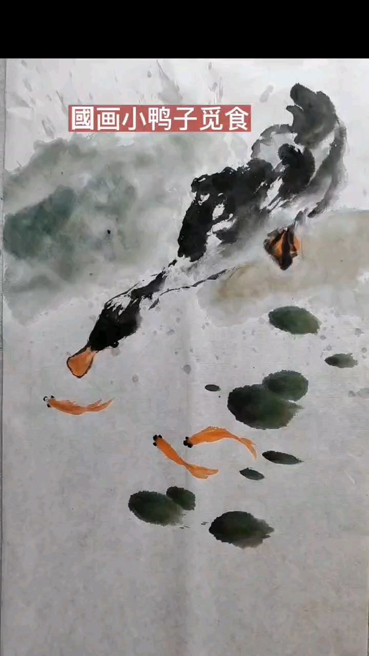 池塘边 一只鸭子正忙着觅食呢