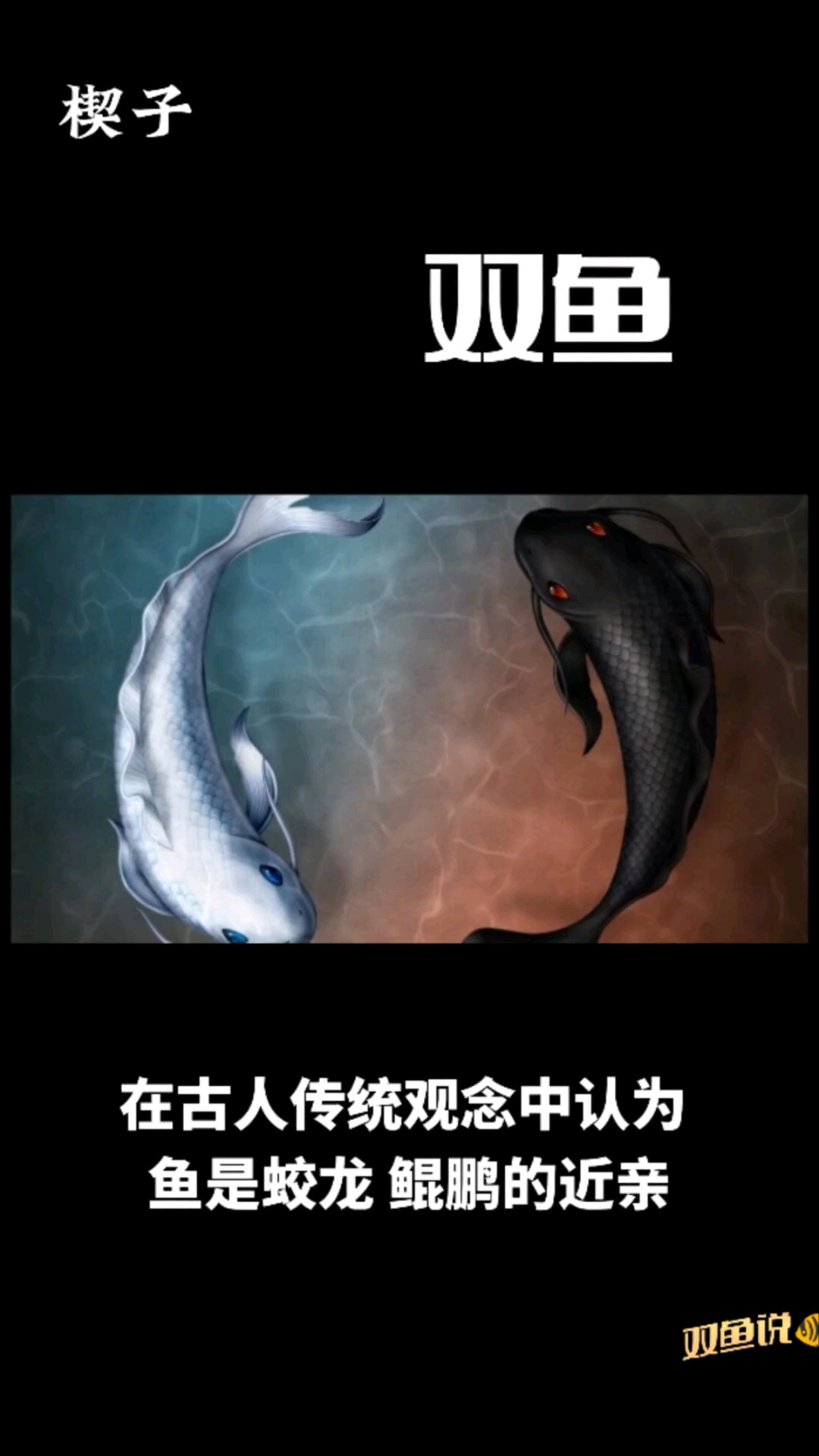 你不知道的双鱼,原来如此