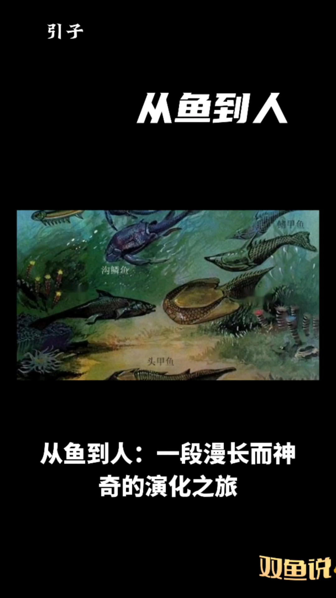 从鱼到人的5亿年