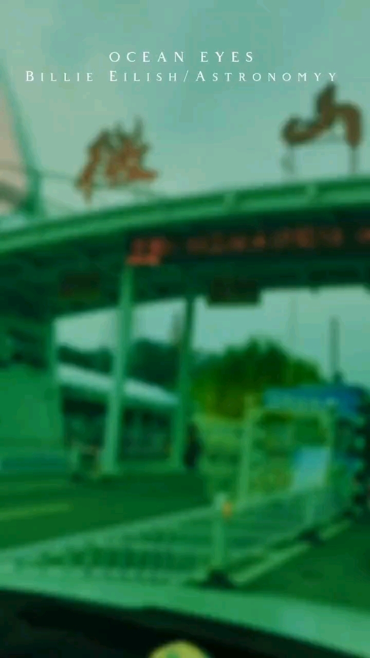 非遗微山湖全鱼宴之——微山湖八大怪