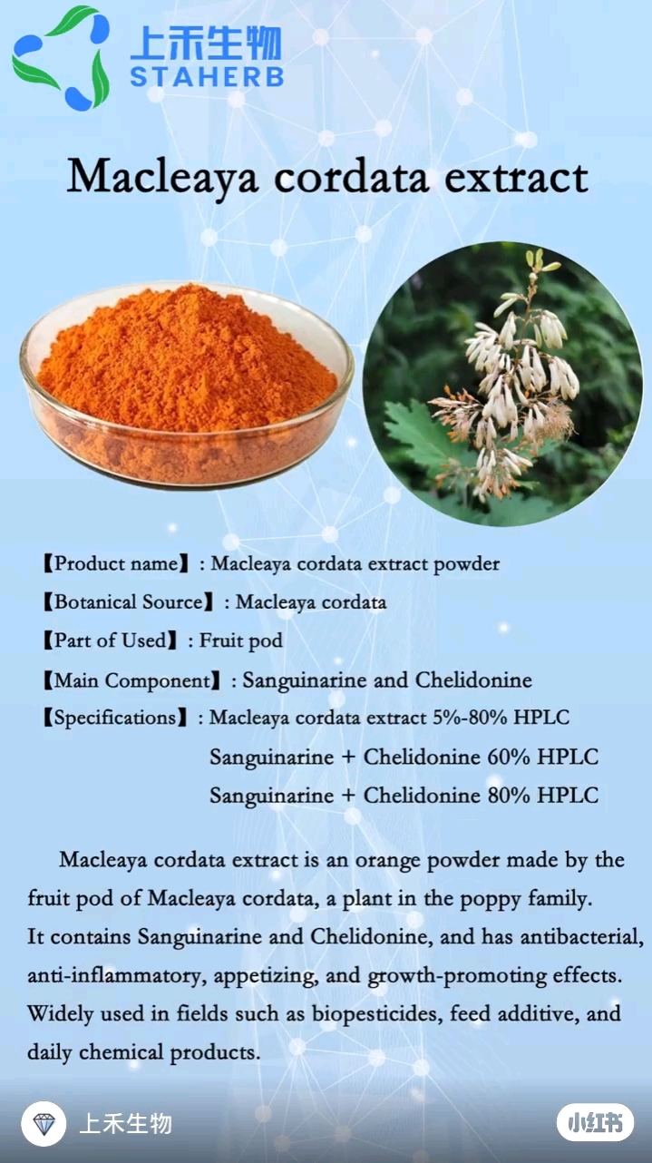 愽落回提取物血根碱白屈菜红碱上禾生物