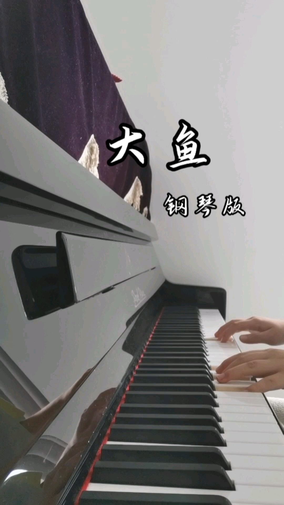 大鱼钢琴曲