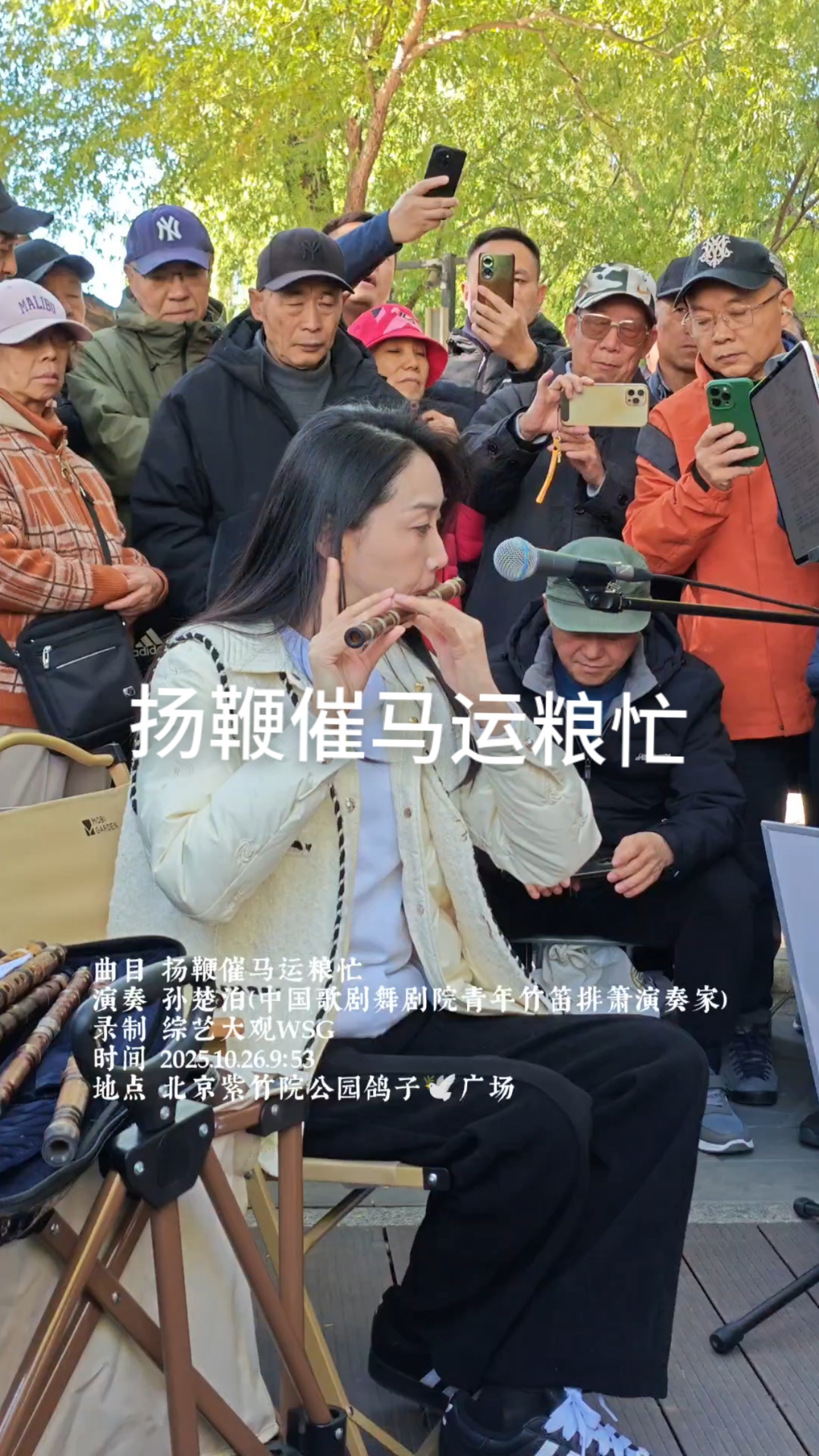 《扬鞭催马运粮忙》,可以说是孙楚泊演奏曲目中一个极具代表性的