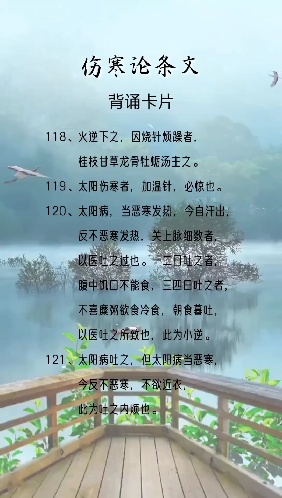 伤寒论条文-第34集