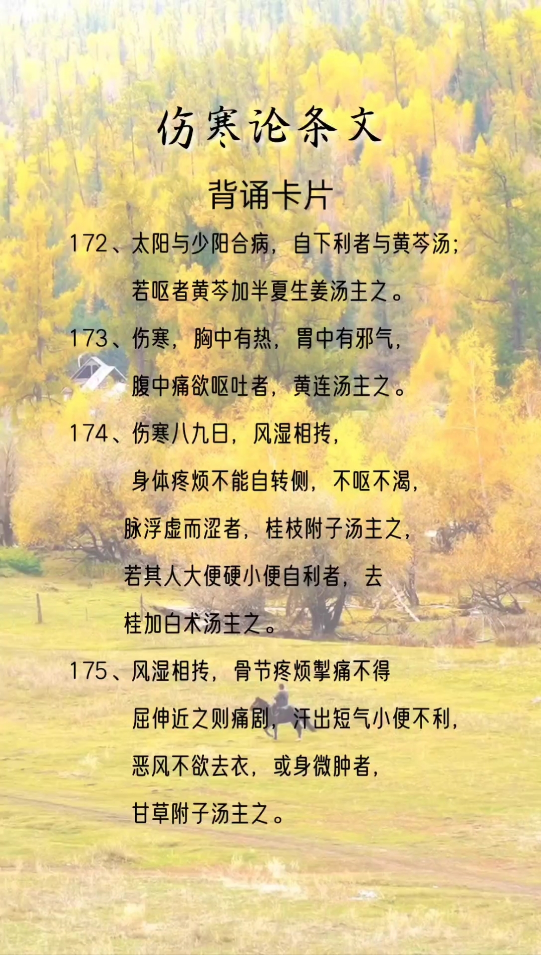 伤寒论条文-第52集