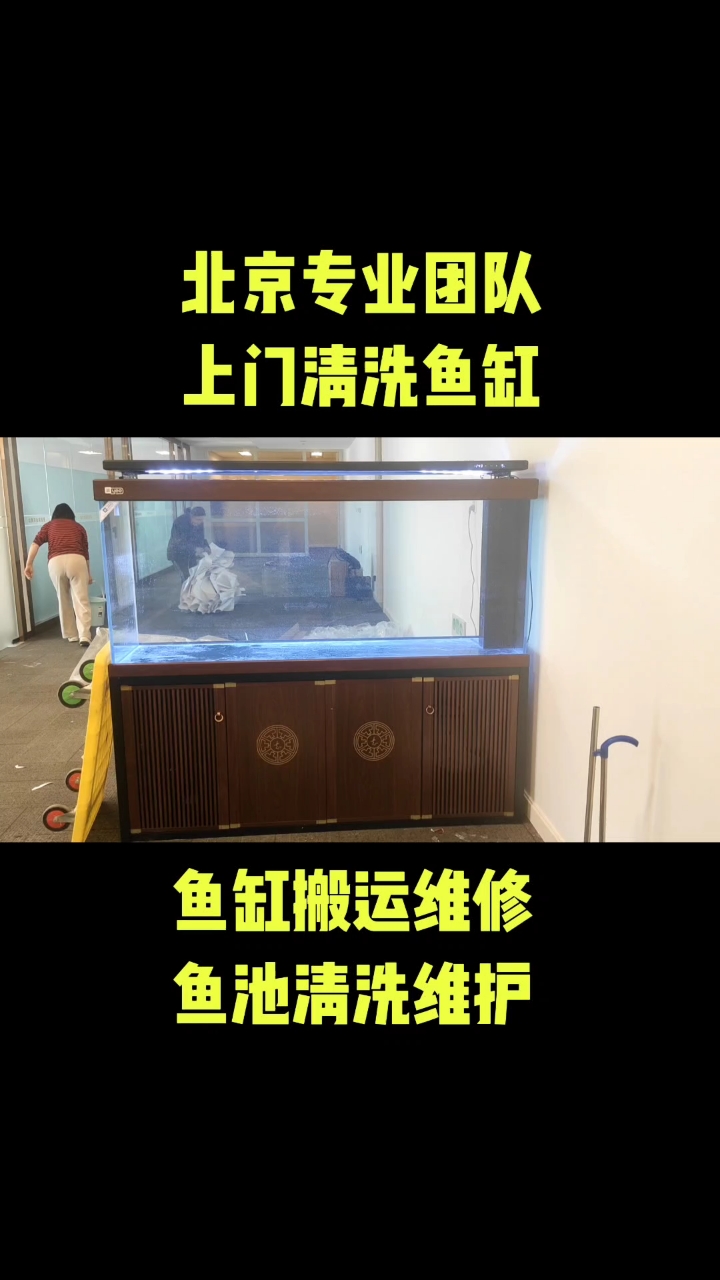 北京专业上门清洗鱼缸 鱼缸维护 鱼缸搬运 鱼缸回收