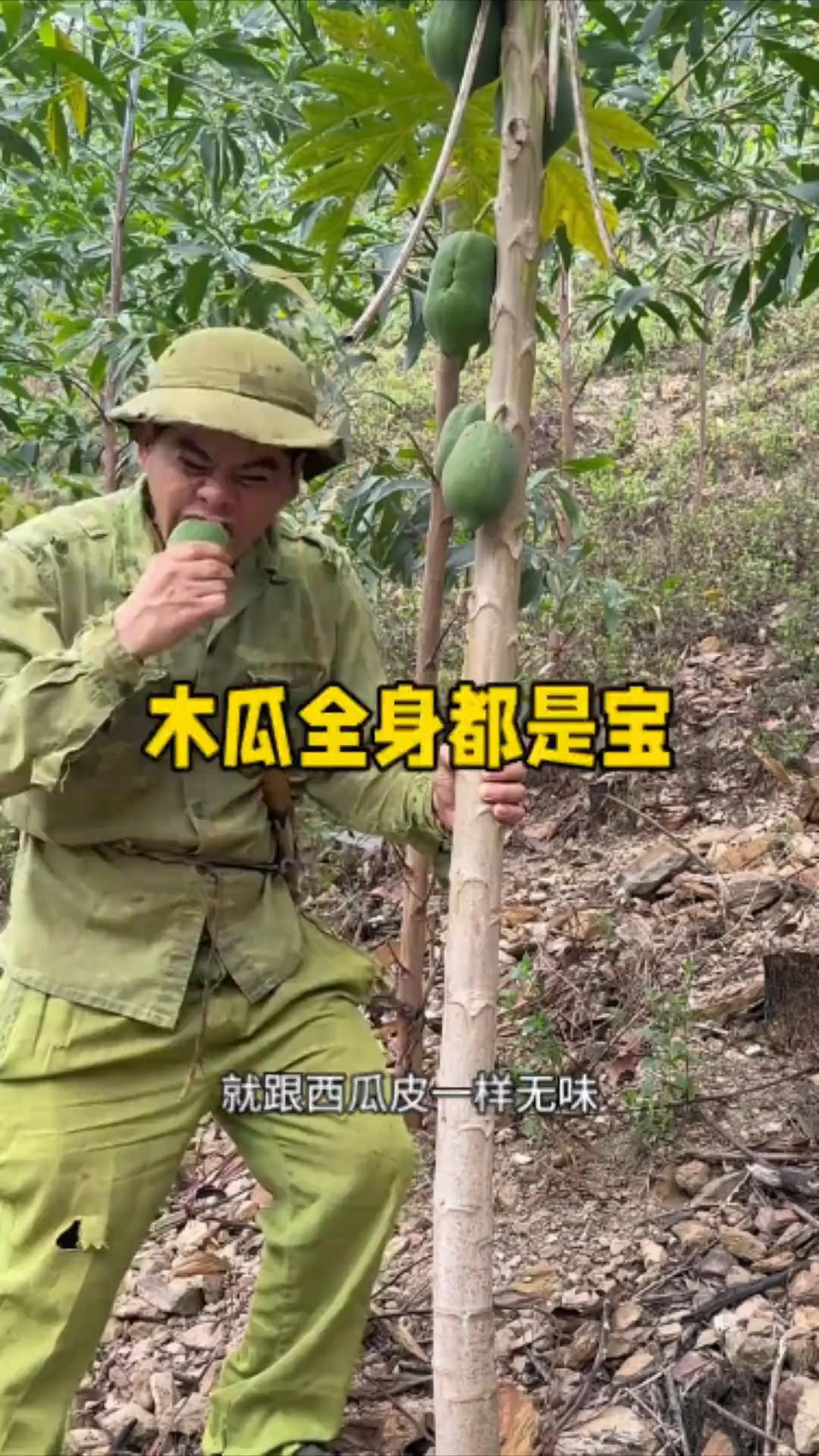 居然木瓜全身都是宝