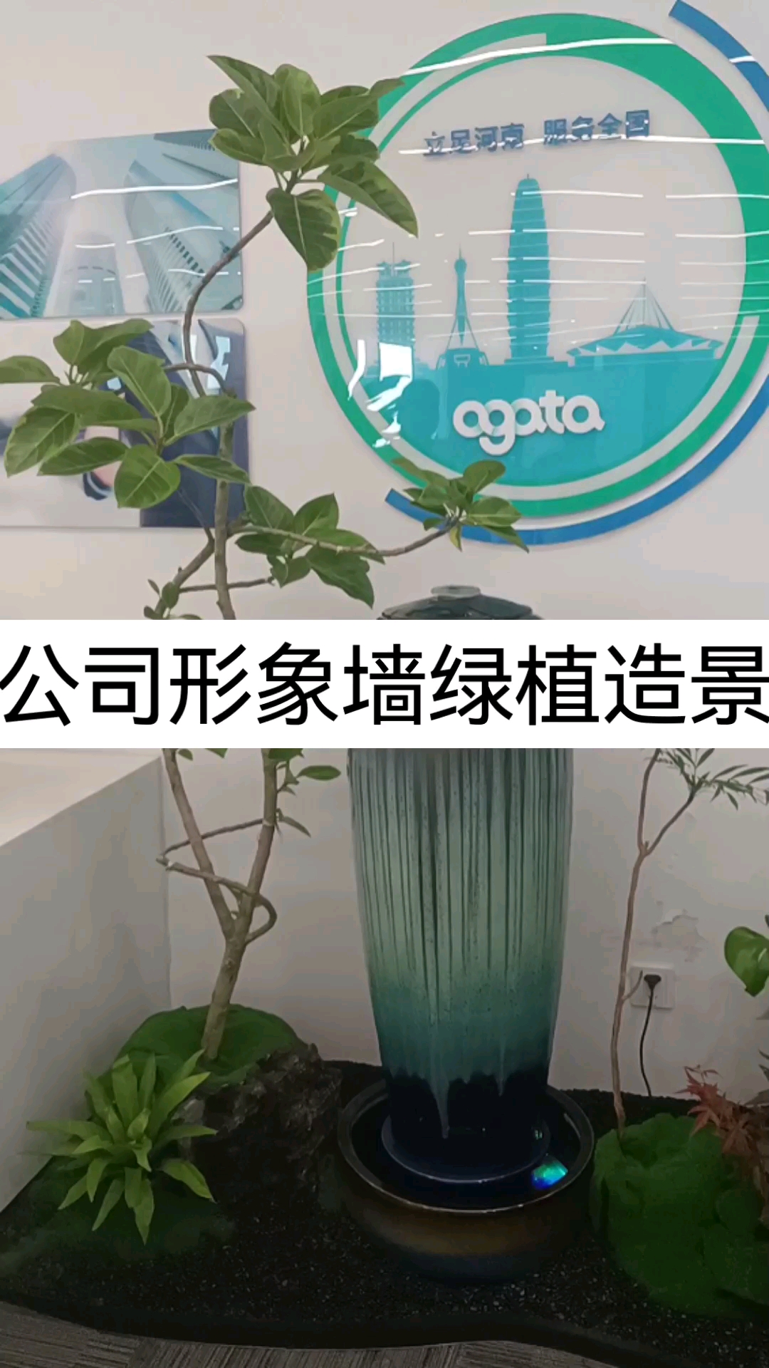 公司前台形象墙绿植升级改造室内微景观造景#植物造景微景观 