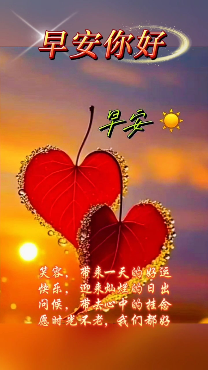 早安你好！笑容带来一天的好运，问候带去心中的挂念，愿我们都好