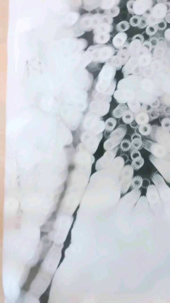 这画里藏着秘密?黑白世界里的奇幻漩涡!