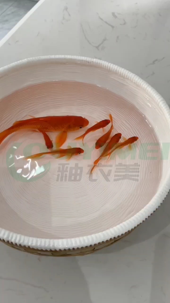 环保防水的墙面涂料,釉衣美你值得拥有