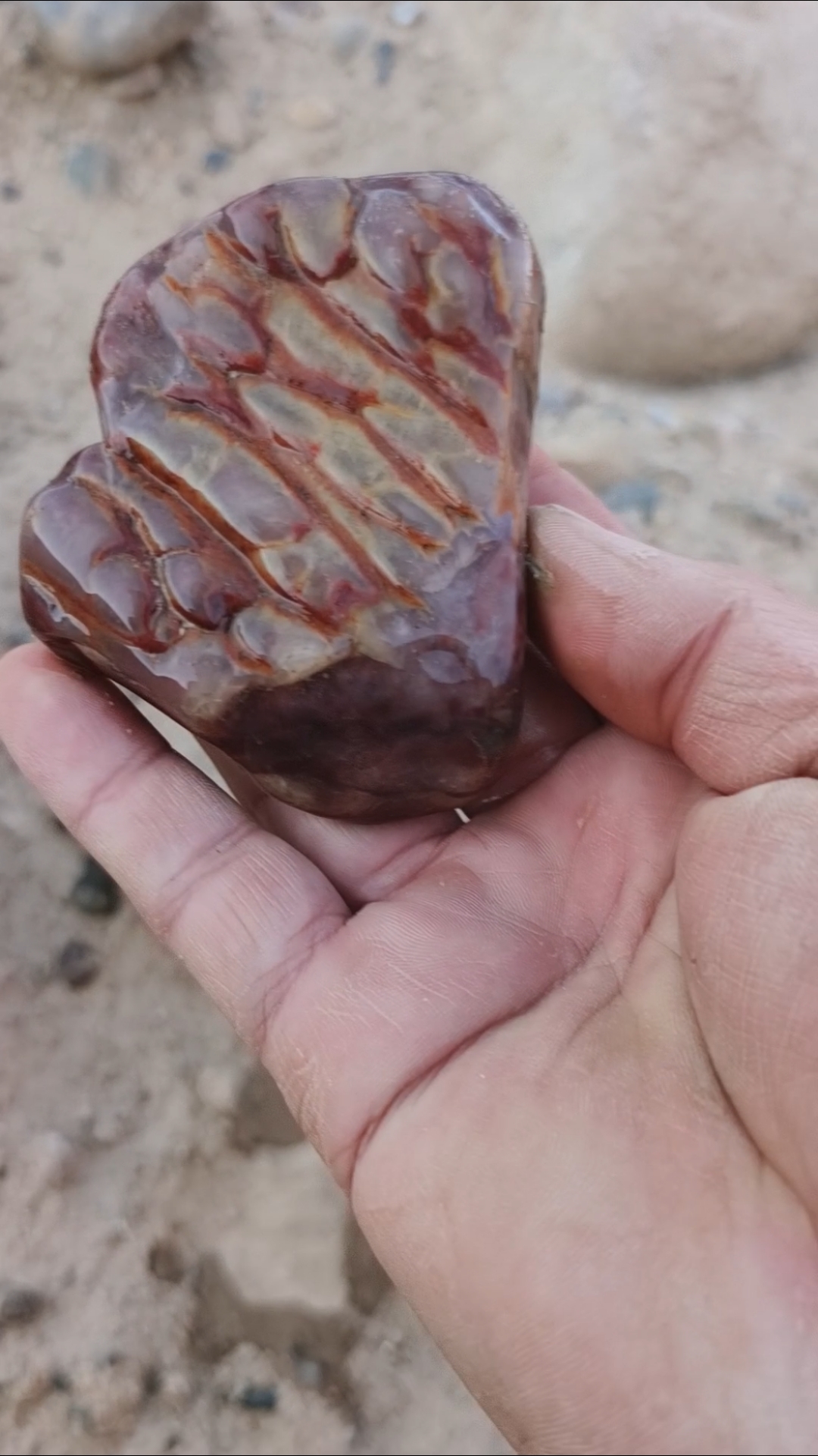 黄河肉石玛瑙