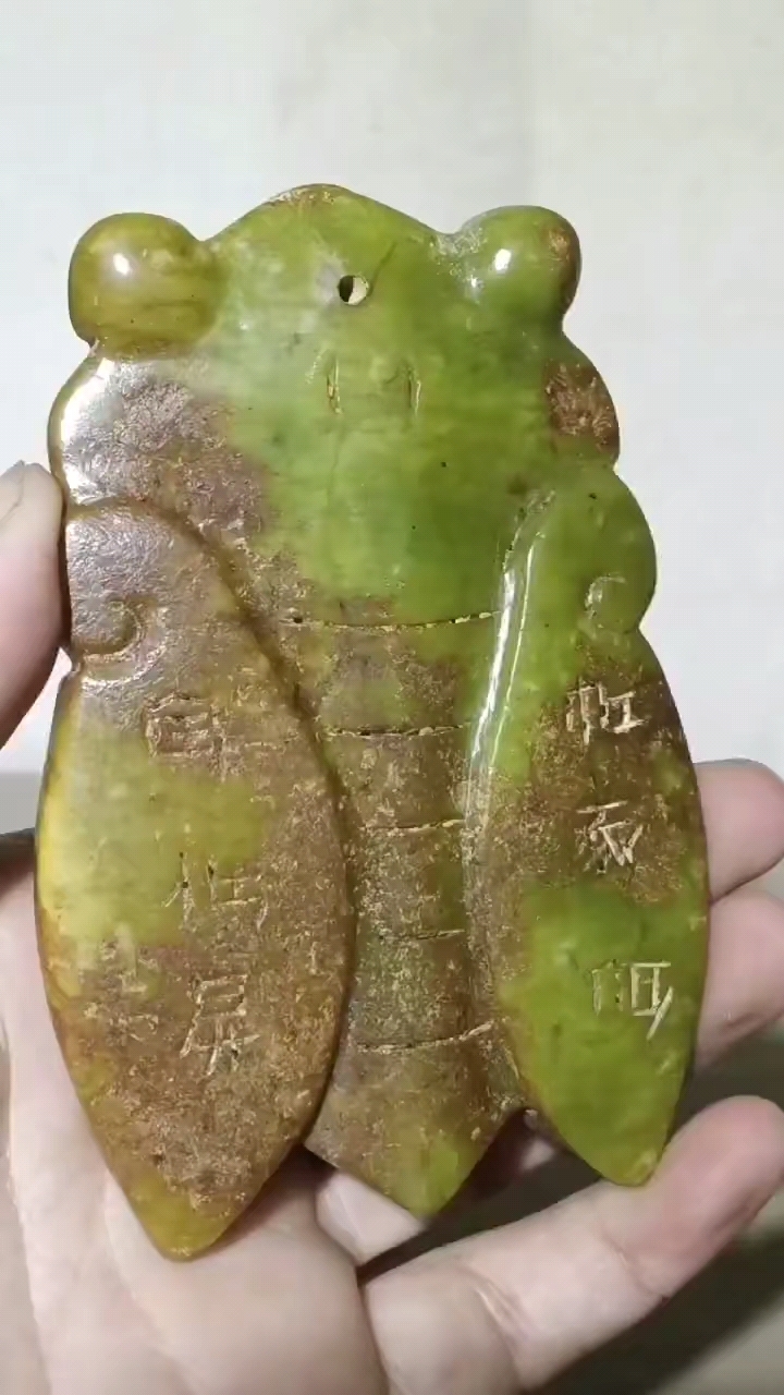 鸡骨白大玉蝉古玉器 长10宽6.3厘米#古玩  #文玩 #古