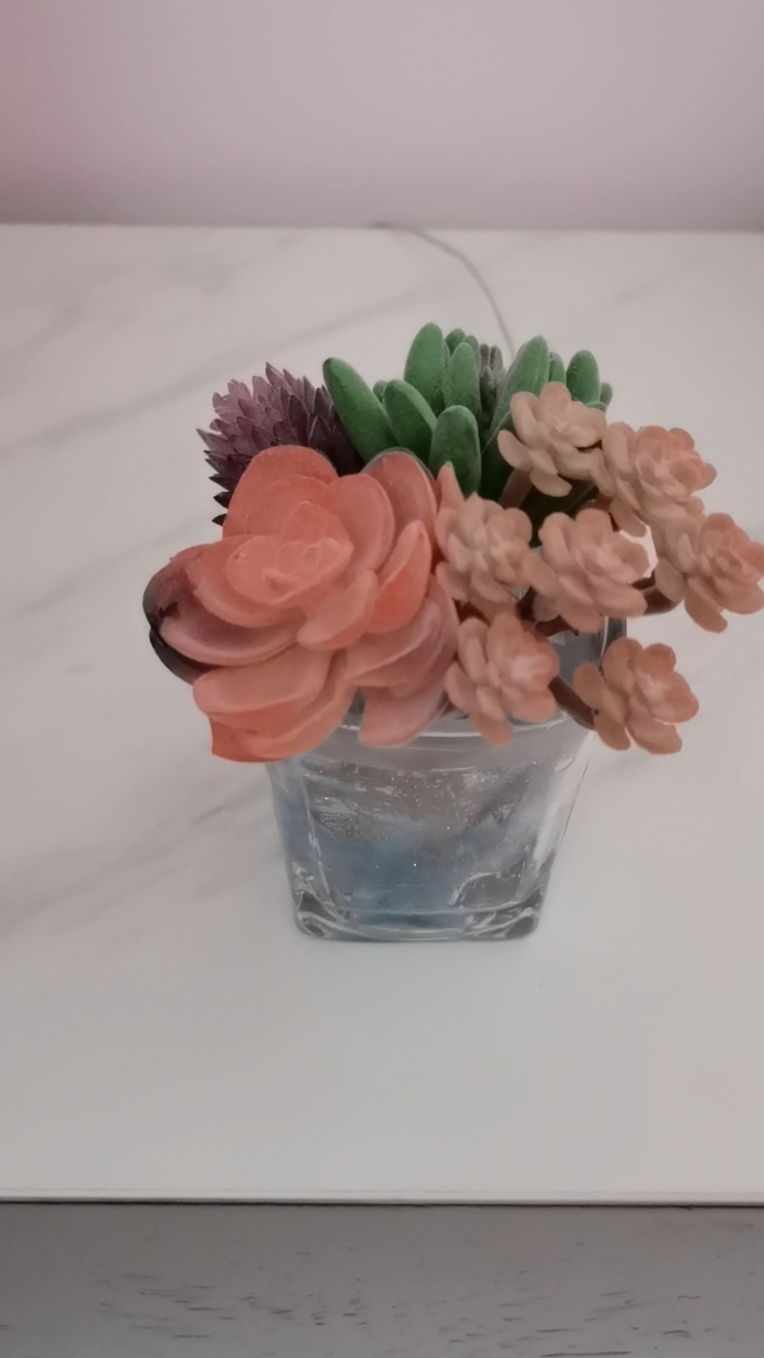 小夜灯,水晶森林多肉植物