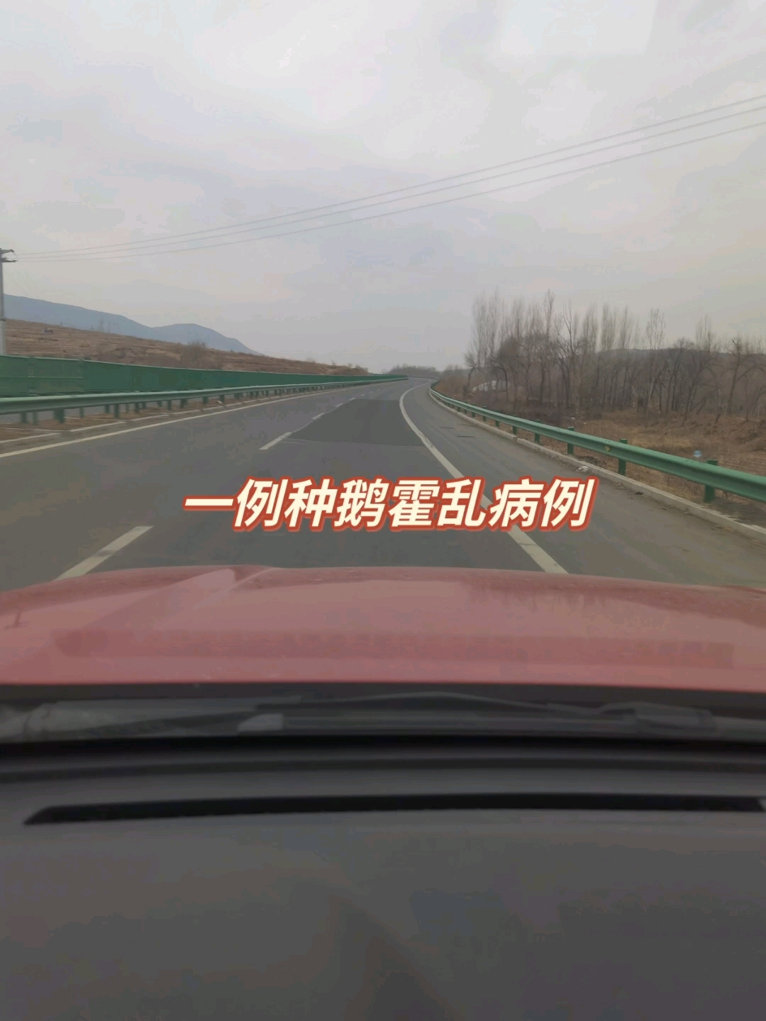 一例种鹅霍乱病例的治疗方案