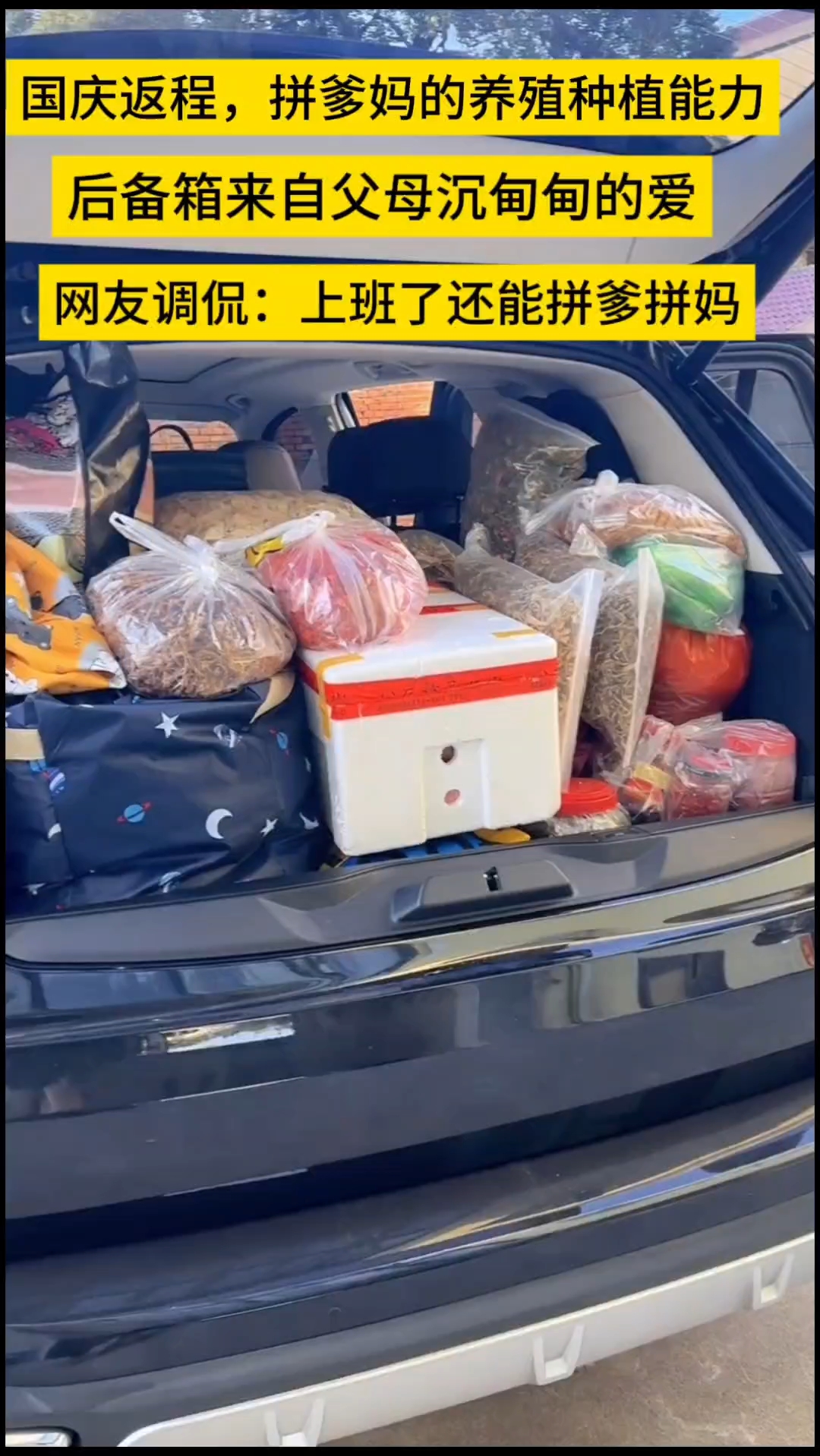 国庆返程高速上演罕见鸡鸭鹅大战，网友调侃:上班还能拼爹拼妈