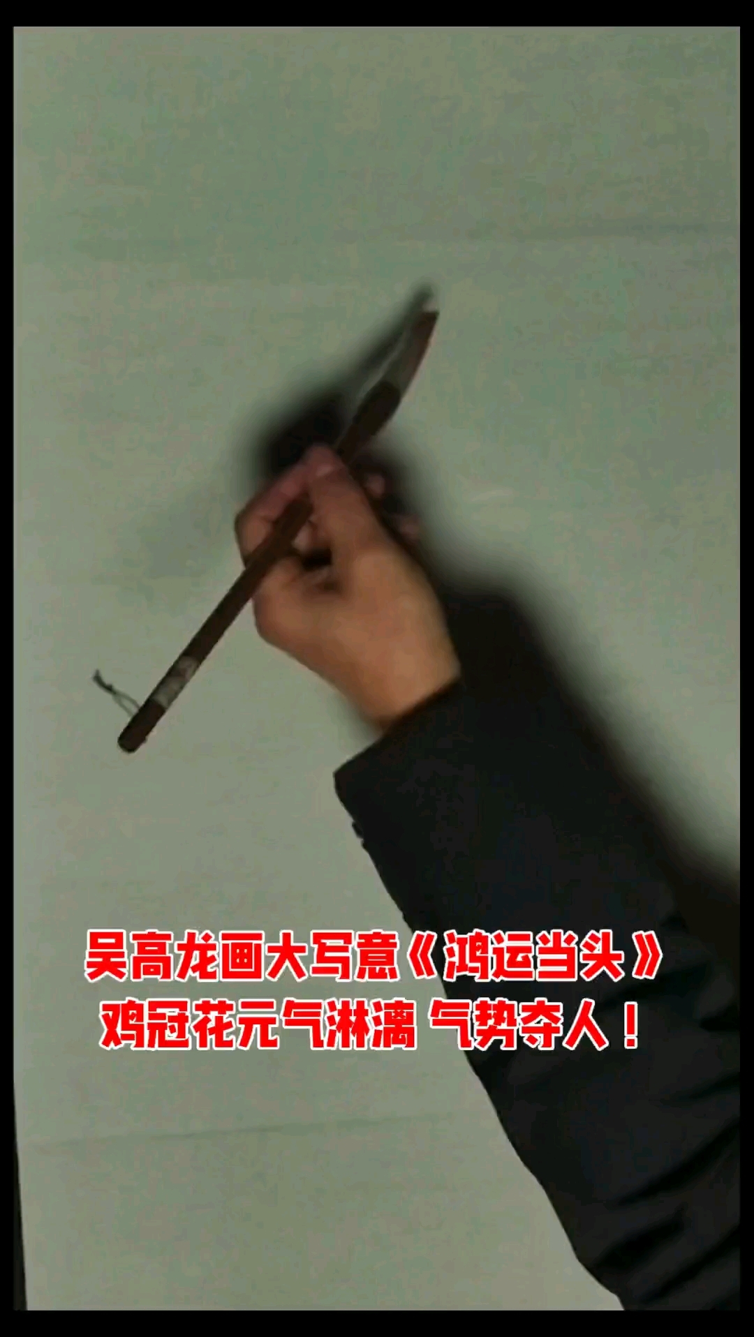 吴高龙今天画大写意鸡冠花